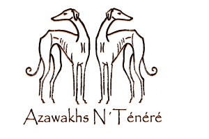 n-tenere-logo.jpg